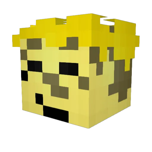 hwordhater Minecraft avatar head, 3D render