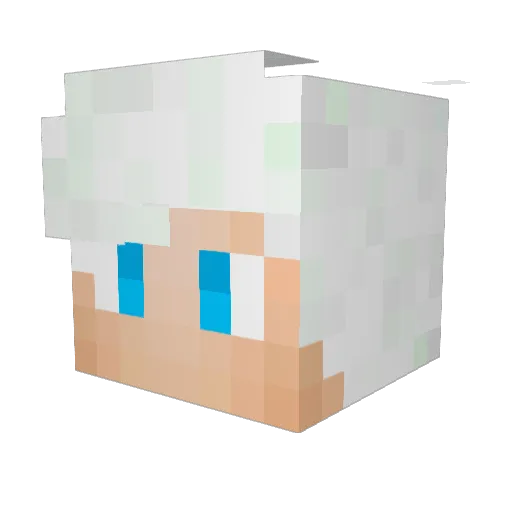 hwownn Minecraft avatar head, 3D render