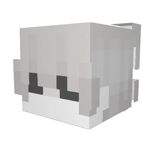 hwxw Minecraft avatar head, 3D render