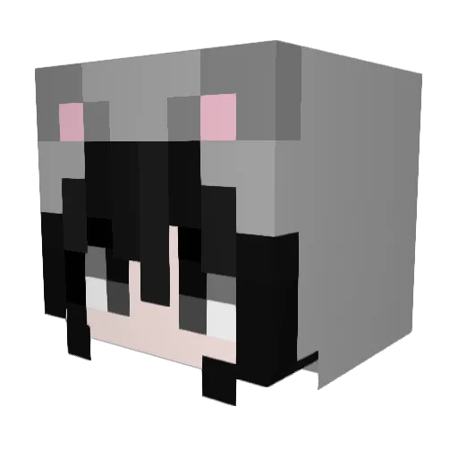hwzel Minecraft avatar head, 3D render