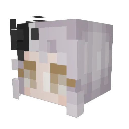 hx_xin Minecraft avatar head, 3D render