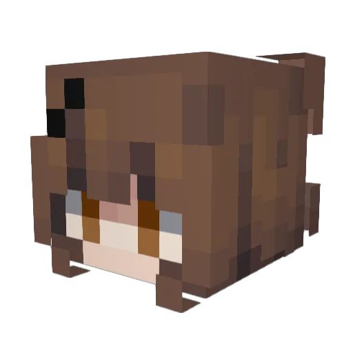 hxartfila Minecraft avatar head, 3D render