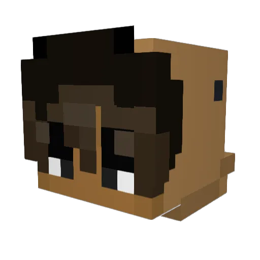 hxkuv Minecraft avatar head, 3D render