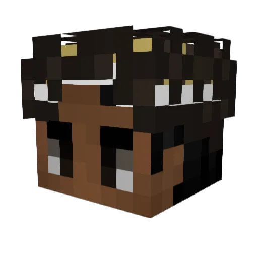 hxrety Minecraft avatar head, 3D render