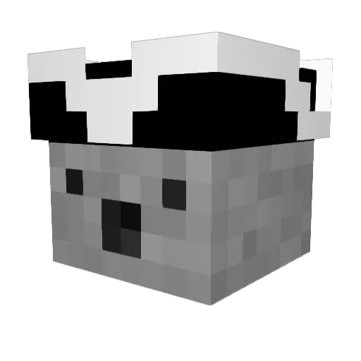 hxrry2 Minecraft avatar head, 3D render