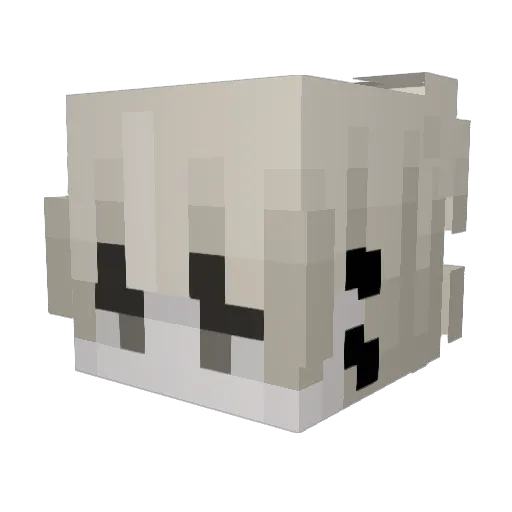 hxxpzz Minecraft avatar head, 3D render