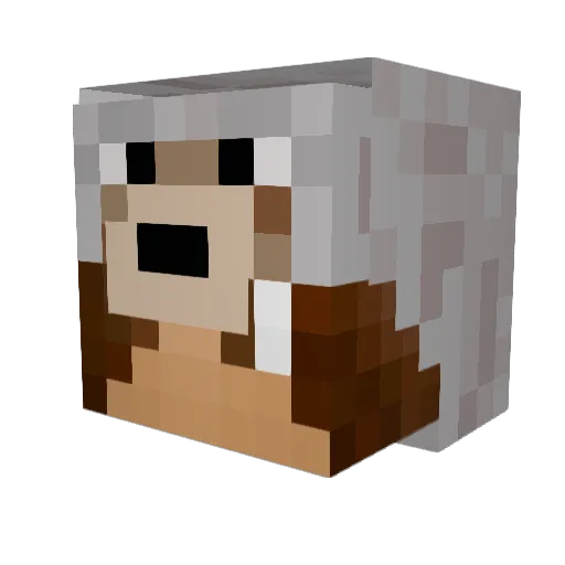 hxzevevo Minecraft avatar head, 3D render