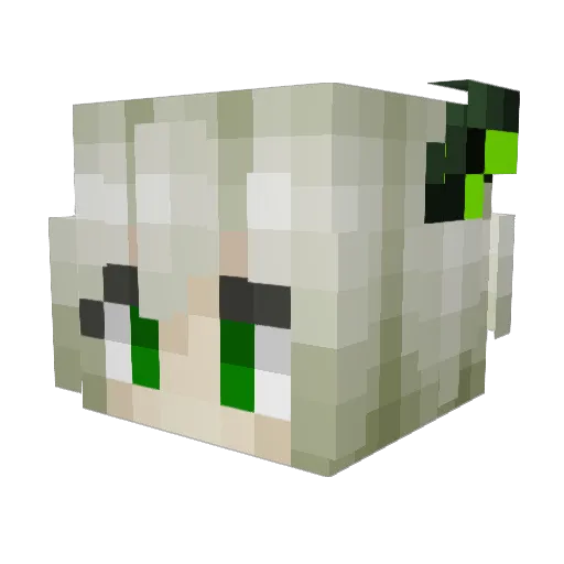 hxzhxz Minecraft avatar head, 3D render