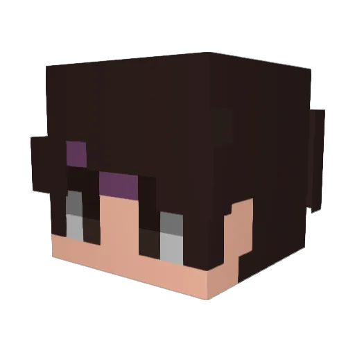 hy51 Minecraft avatar head, 3D render