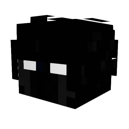 hyLR Minecraft avatar head, 3D render