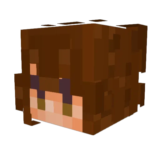hyacinthflds Minecraft avatar head, 3D render