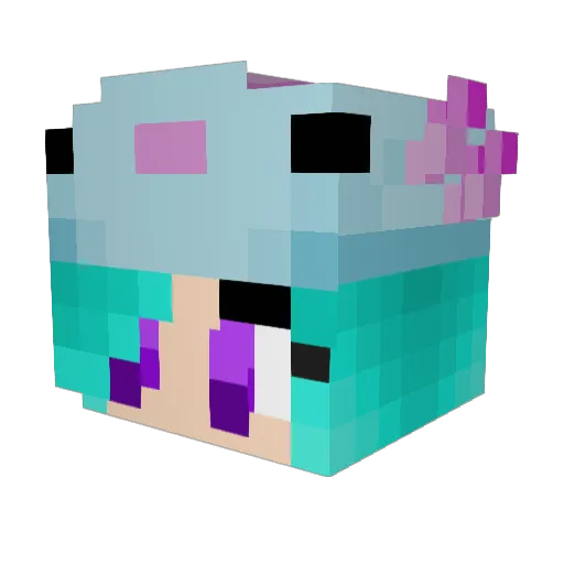 hybernatingspace Minecraft avatar head, 3D render