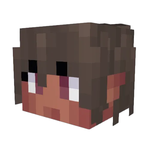 hydr0genb0mb____ Minecraft avatar head, 3D render