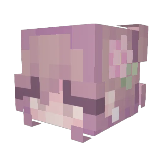 hydr0z Minecraft avatar head, 3D render