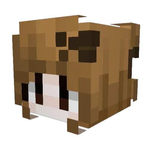 hydr_xide Minecraft avatar head, 3D render