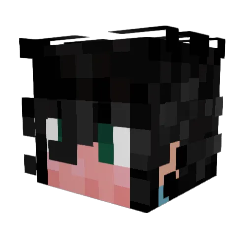 hydra_3000 Minecraft avatar head, 3D render