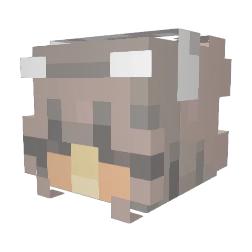 hydraanel Minecraft avatar head, 3D render