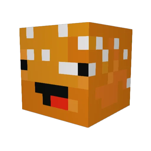 hydraaustralia Minecraft avatar head, 3D render