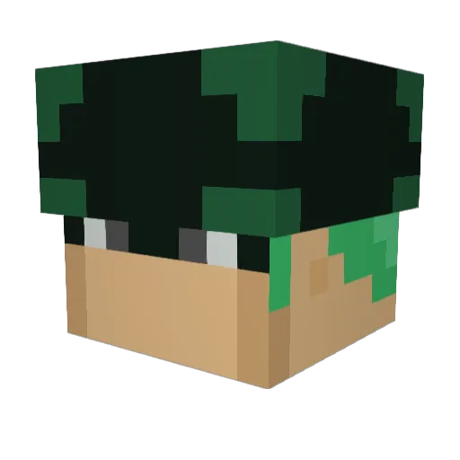 hydratedwater420 Minecraft avatar head, 3D render