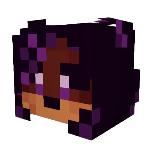 hydrationsauces Minecraft avatar head, 3D render