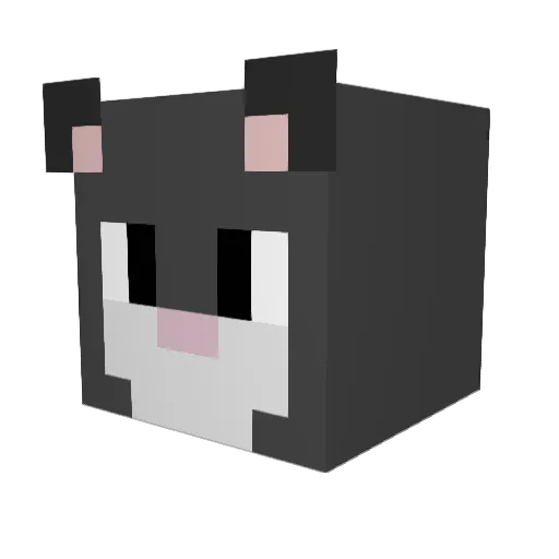 hydrolle Minecraft avatar head, 3D render