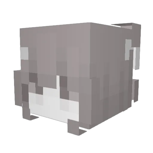 hyebn Minecraft avatar head, 3D render