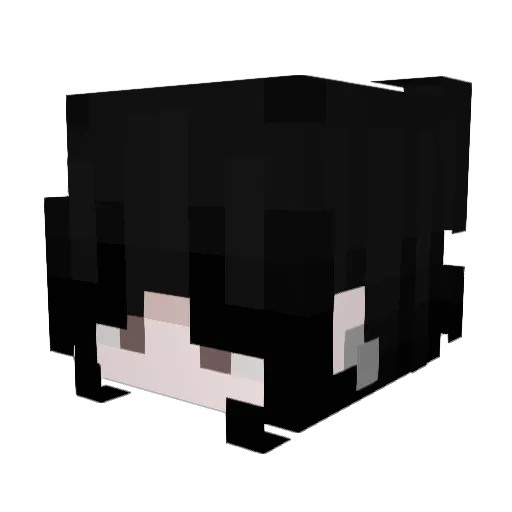 hyejufan Minecraft avatar head, 3D render