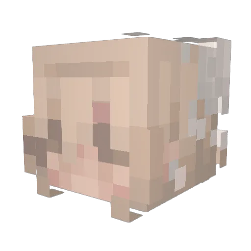 hyelin4 Minecraft avatar head, 3D render