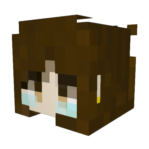 hyena2011 Minecraft avatar head, 3D render