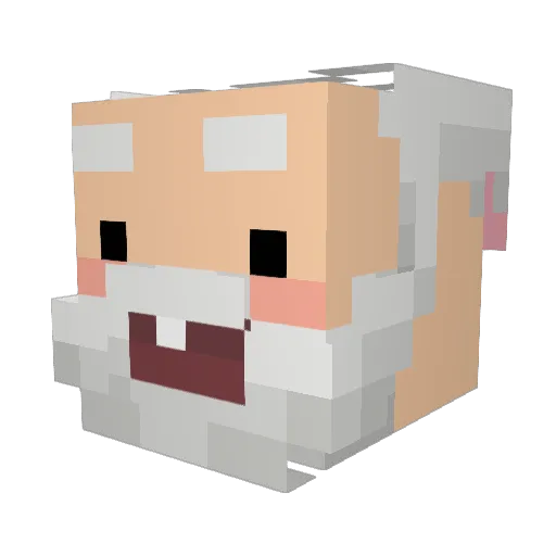 hyeok111 Minecraft avatar head, 3D render