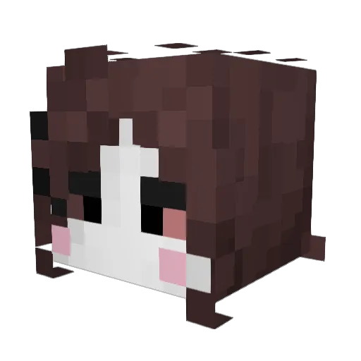 hyiqnya42 Minecraft avatar head, 3D render