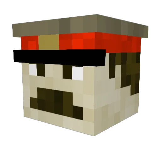 hylianorphan Minecraft avatar head, 3D render