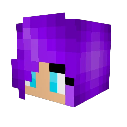 hyliansparrow Minecraft avatar head, 3D render