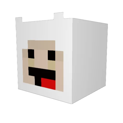 hylle123 Minecraft avatar head, 3D render