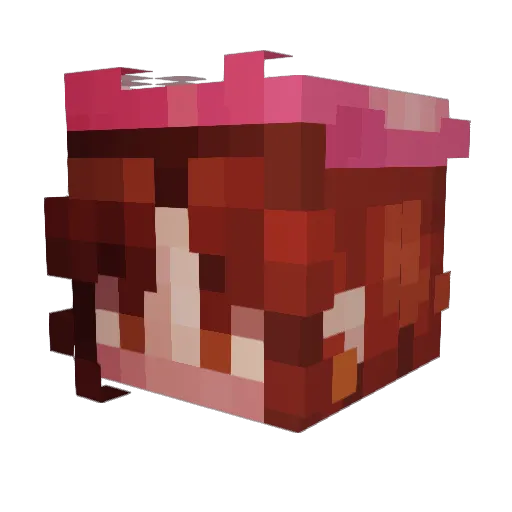 hymnodies Minecraft avatar head, 3D render