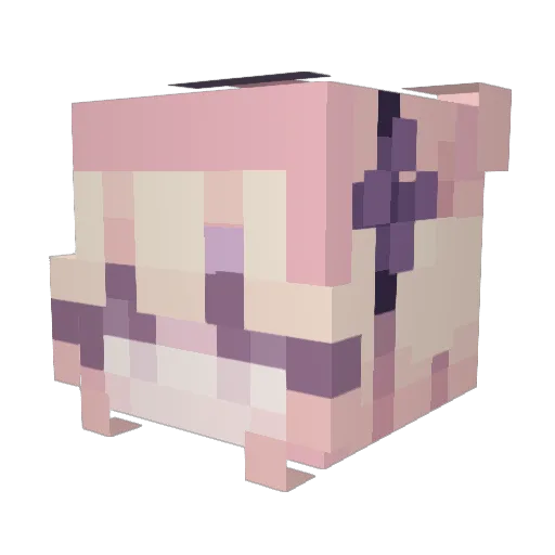 hyoJeen Minecraft avatar head, 3D render