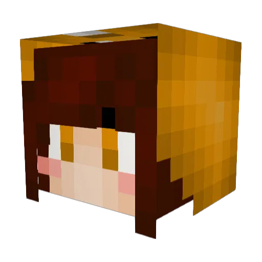 hyojin_n Minecraft avatar head, 3D render