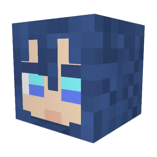 hyperTayT123 Minecraft avatar head, 3D render