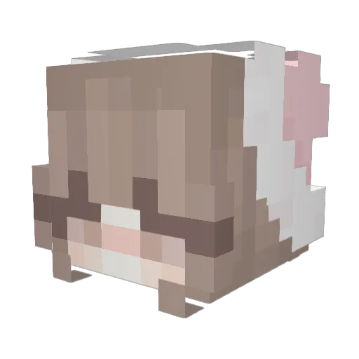 hyper_nova4 Minecraft avatar head, 3D render