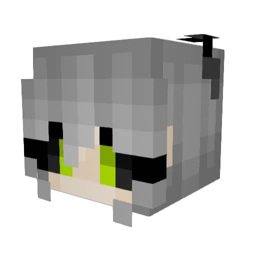 hyperfizzXP Minecraft avatar head, 3D render