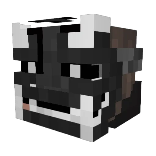 hypher23 Minecraft avatar head, 3D render
