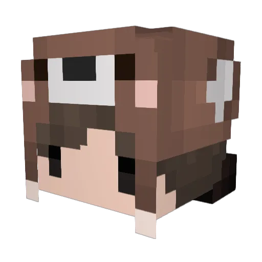 hypnotyzme Minecraft avatar head, 3D render