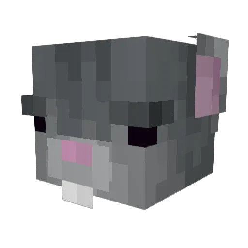 hypntzd Minecraft avatar head, 3D render