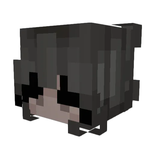 hypnxtise Minecraft avatar head, 3D render