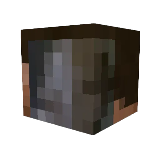 hypoLMS Minecraft avatar head, 3D render