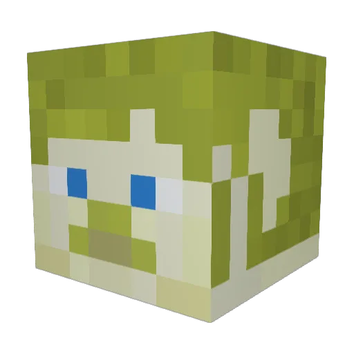 hypr__ Minecraft avatar head, 3D render