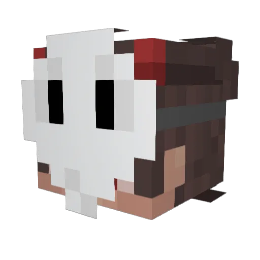 hypraz Minecraft avatar head, 3D render