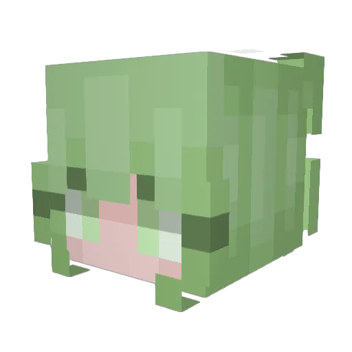 hyrdaloss Minecraft avatar head, 3D render
