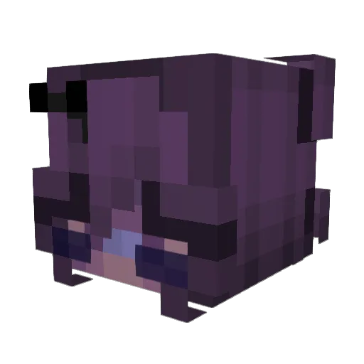 hyrnk Minecraft avatar head, 3D render