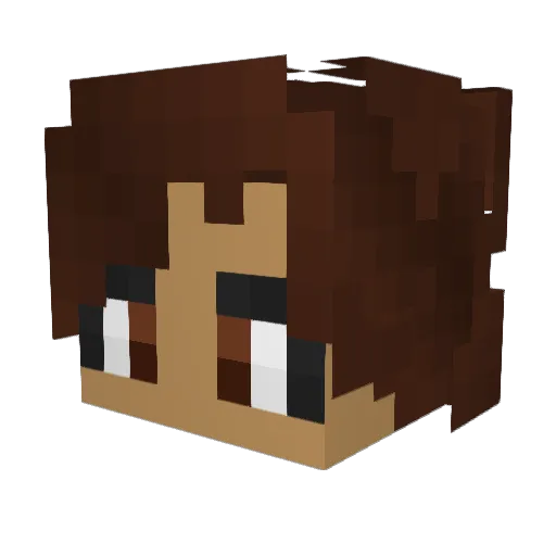 hyrulepanda199 Minecraft avatar head, 3D render